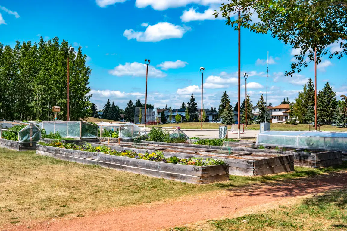 Cedarbrae community in Calgary